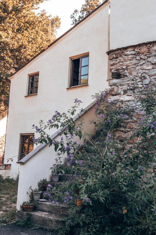 Le Petit Chateau Vezzi Portio Exterior foto
